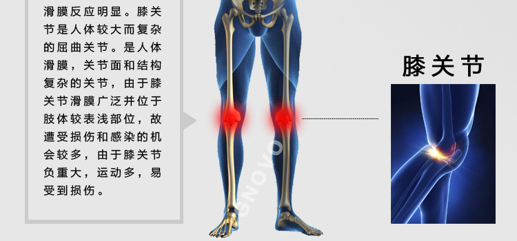 badica防护型棉质护膝夏季透气男球篮球羽毛球护膝盖跑步防摔运动护具bt6304包邮