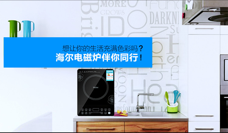 海尔/HAIER 海尔电磁炉 C21-H1202 升级版