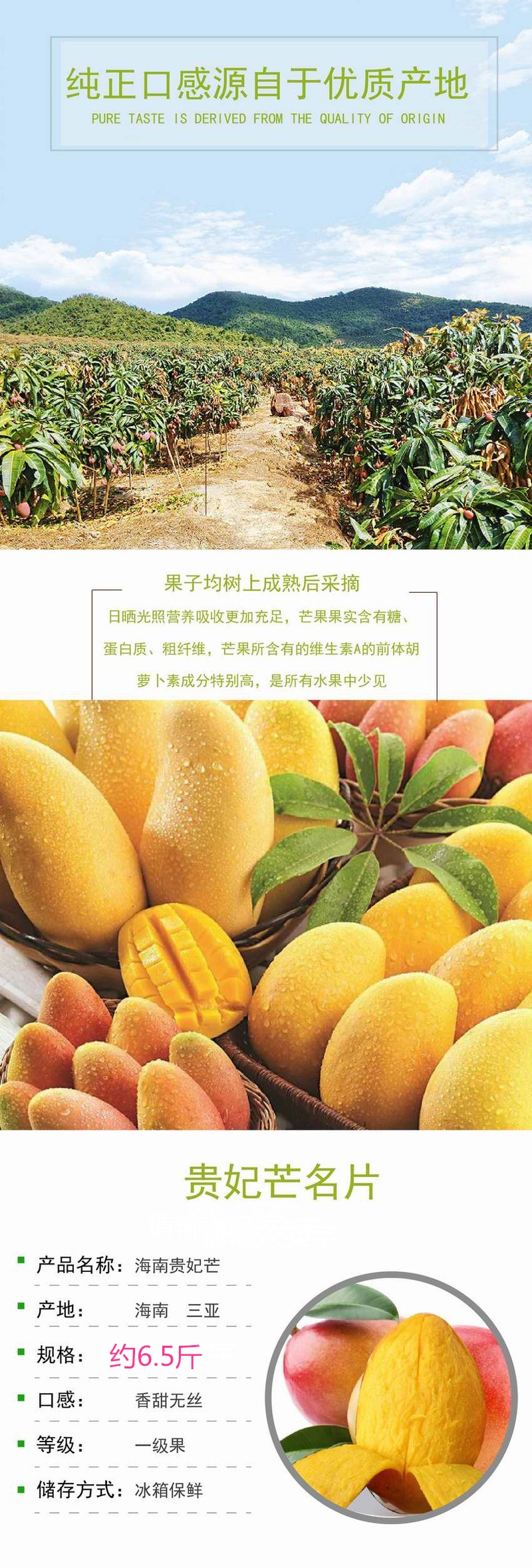 三亚红金龙芒果 又名贵妃芒 净重约6.5斤 毛重约8斤 全国EMS包邮 每周发货一次