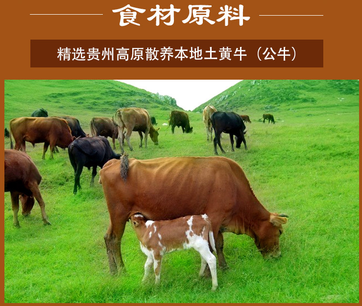 贵州高原牛肉干250g
