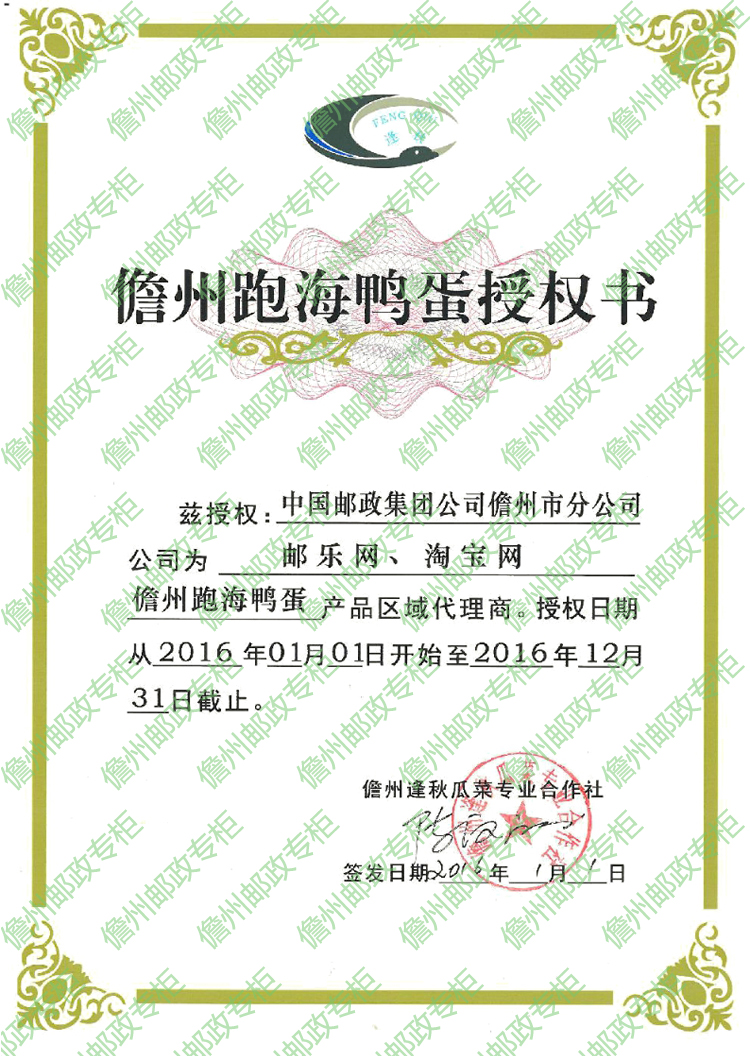 正品海南儋州红树林跑海咸鸭蛋 农民家散养土鸭蛋礼盒20枚装