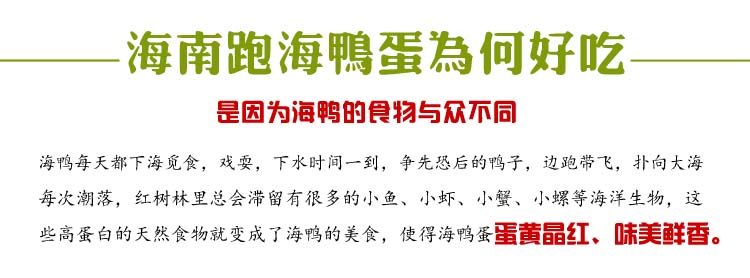 海南儋州正宗新鲜跑海鸭蛋20个 农家农民散养鸭