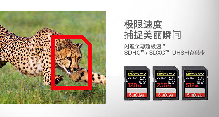 闪迪（SanDisk）至尊超极速SDHC UHS-I存储卡 32GB