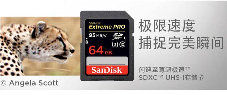 闪迪至尊超极速SD存储卡64G单反相机内存卡闪存卡