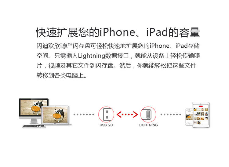 闪迪欢欣i享闪存盘32G iPhone6splus/ipad双插头两用苹果U盘