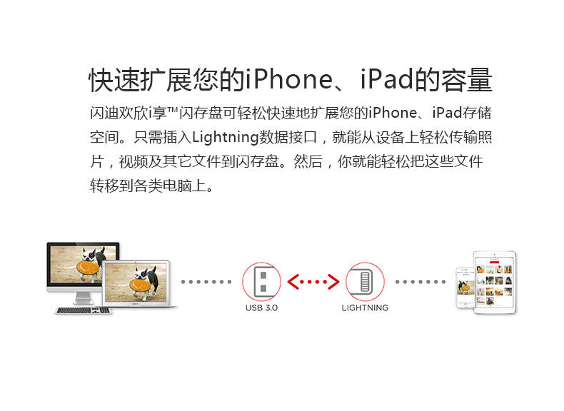 闪迪欢欣i享闪存盘iPhone6s plus/ipad 64GB双插头苹果手机U盘