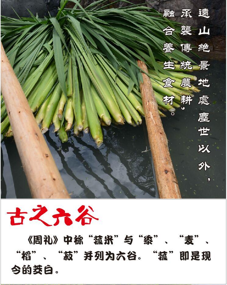 【活动】延桐 生态 永嘉 楠溪 瓯茭 (茭白) 莲子 黄花菜干