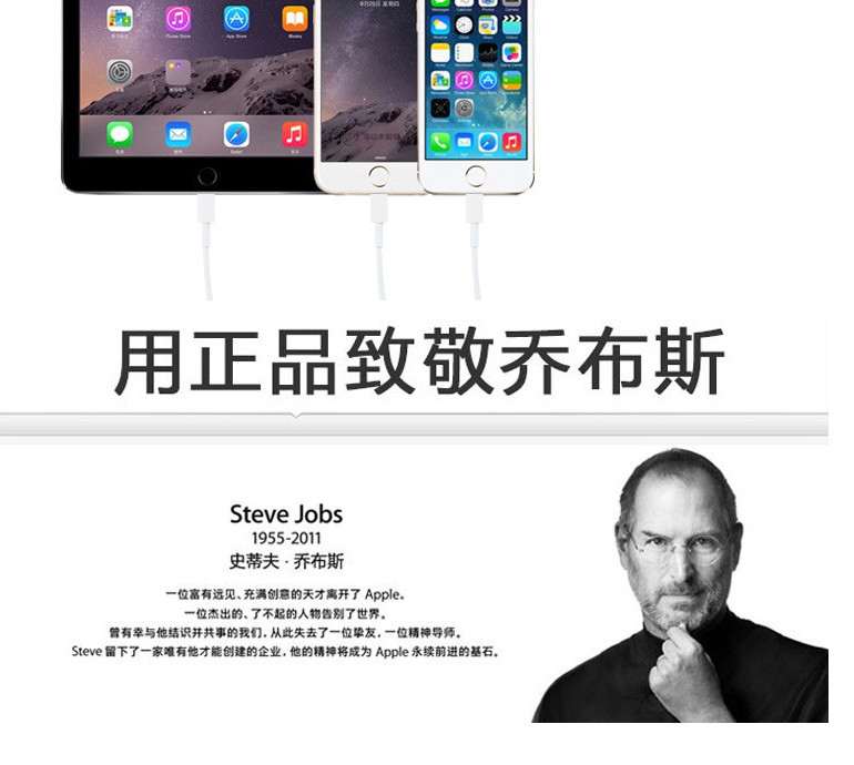 苹果 充电器/数据线 充电套装 适用于iPhone6s/5s/ipadmini 4/iPad air