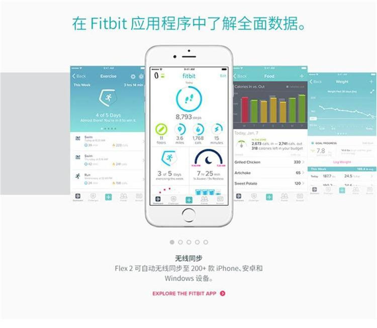 FITBIT Flex 2 时尚智能乐活手环