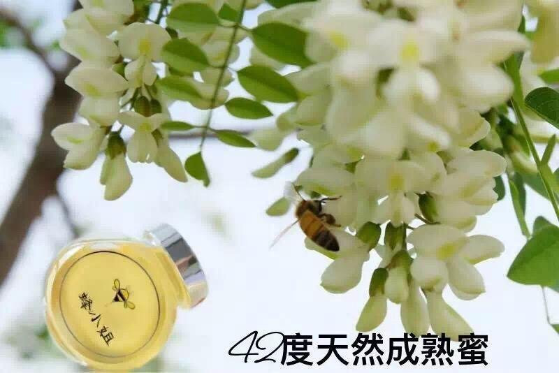 蜂小姐纯天然野生成熟洋槐蜜