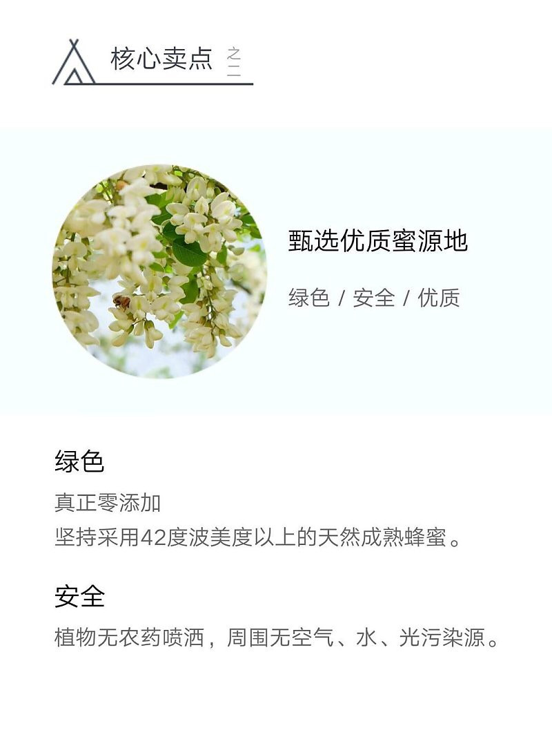 蜂小姐纯天然野生成熟洋槐蜜