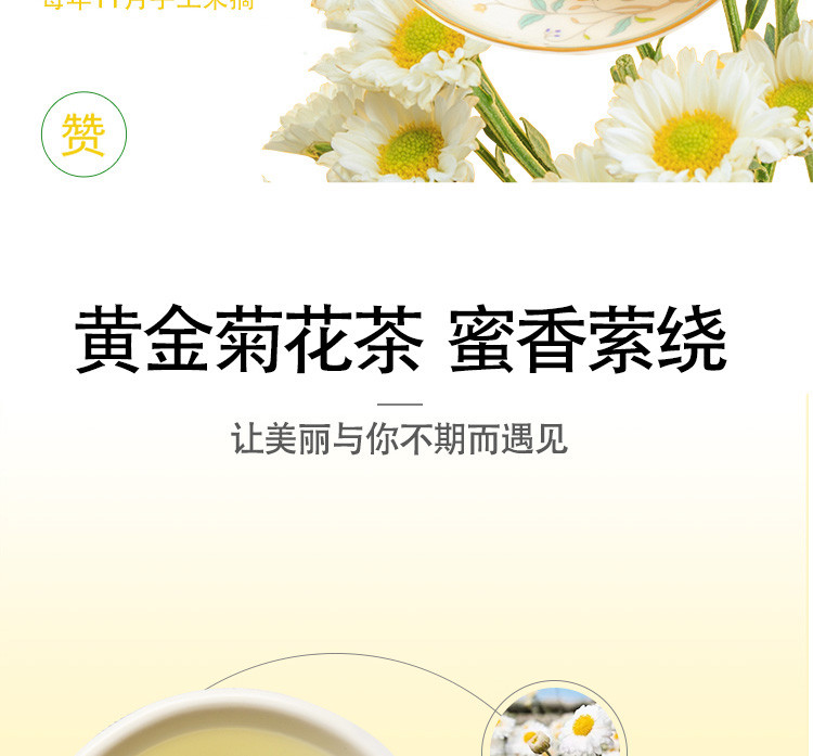 农家自产 【肇庆馆】高要河台黄金菊白菊 帮扶产品 全国包邮