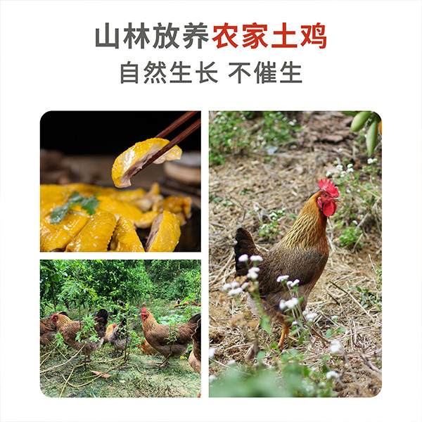 潭布首佳 广宁潭布首佳盐焗鸡