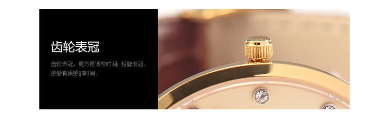 华伦天奴(VALENTINO)瑞士商务男士手表时尚镶钻防水石英皮带金色粉盘男士 GV3500GM-W