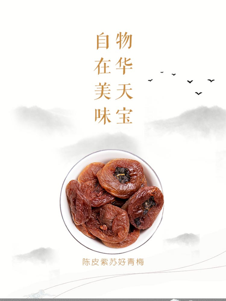 陈李济 陈皮紫苏梅无核梅子梅干休闲零食蜜饯果干果脯独立小包100g