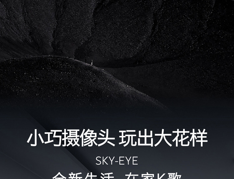 创维/SKYWORTH 4K超高清智慧屏65英寸2+64G内存视频通话 65H90