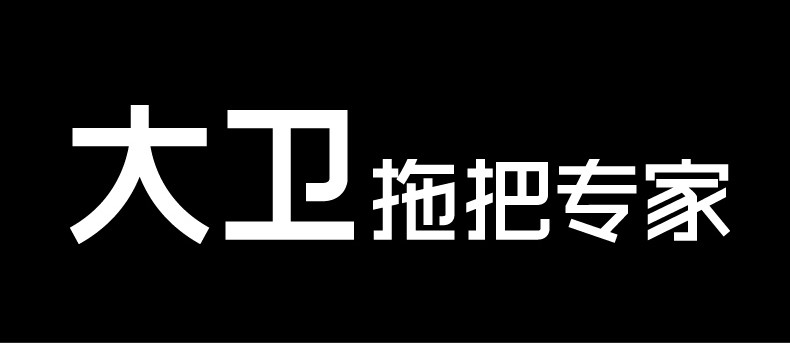 大卫 平板拖把 拓扑懒人家用擦木地板瓷砖拖布大号墩布 P6