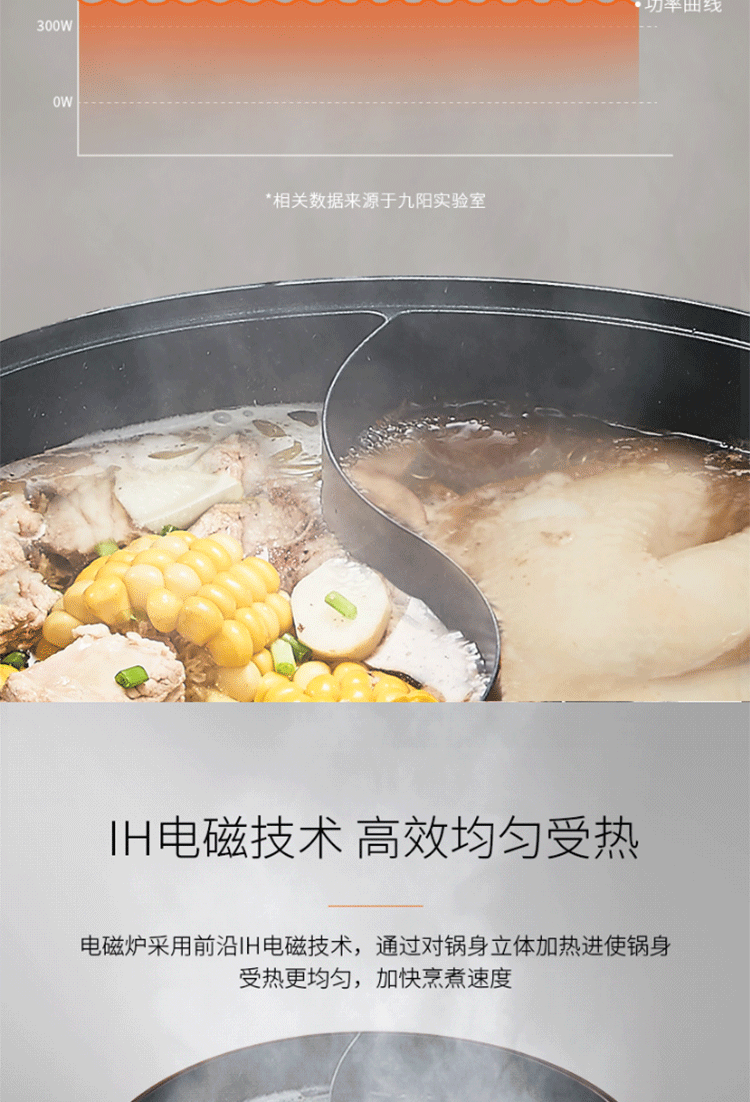 九阳/Joyoung 电火锅鸳鸯锅可分离多用途锅炖煮煎炸蒸电热家用多功能C21-HG3白色