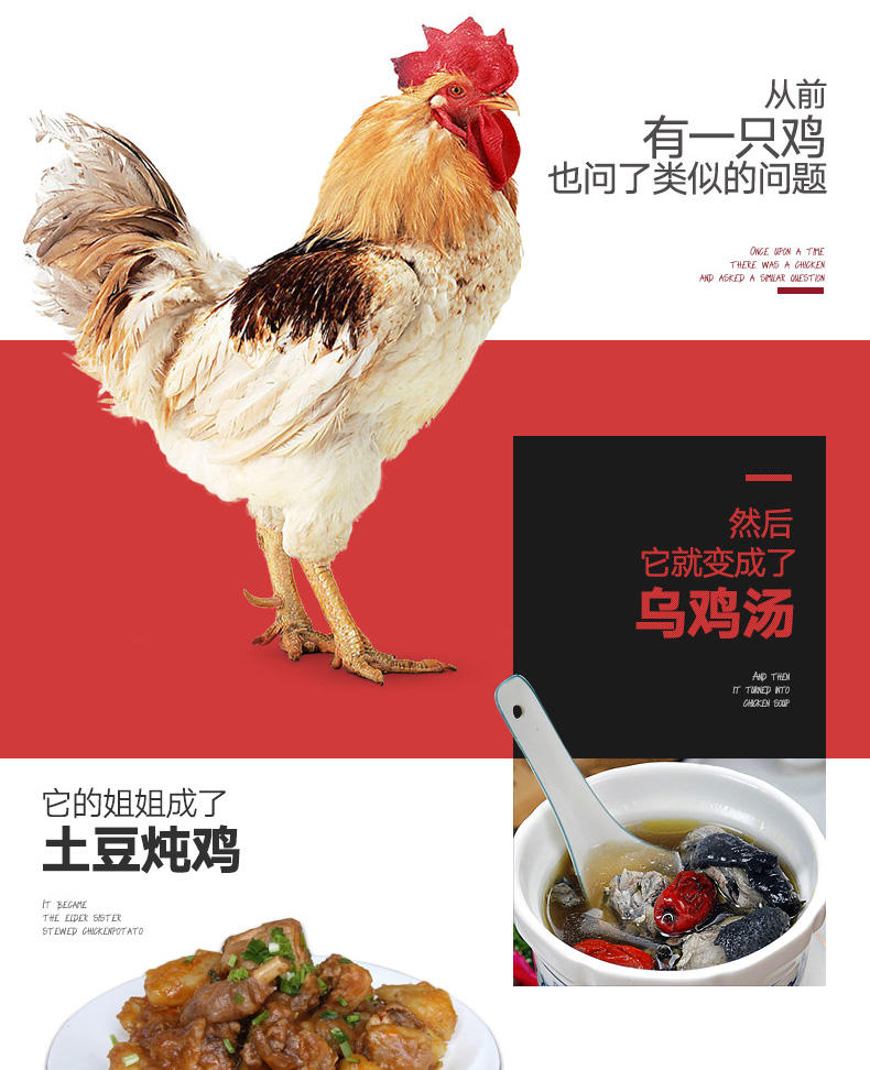 Joyoung/九阳 JYF-40FE65 4L智能预约电饭煲 多功能 正品