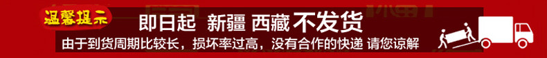 九阳榨汁机JYL-C91T 家用 多功能 果汁机 迷你水果 料理机 原汁机