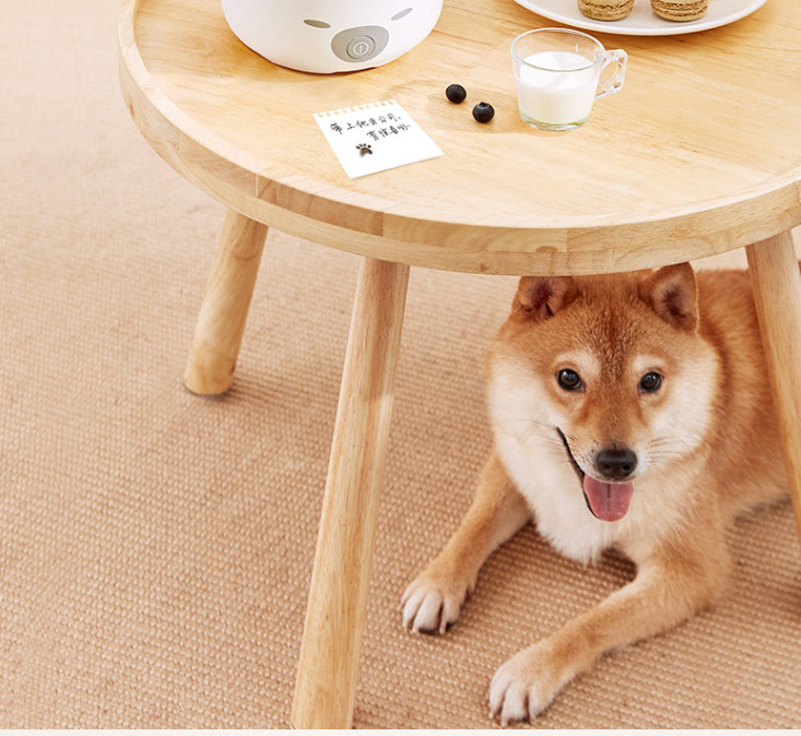 美的家用电饭煲迷你一人食小容量煮饭锅学生宿舍1.3L柴犬煲 白色FB10M103