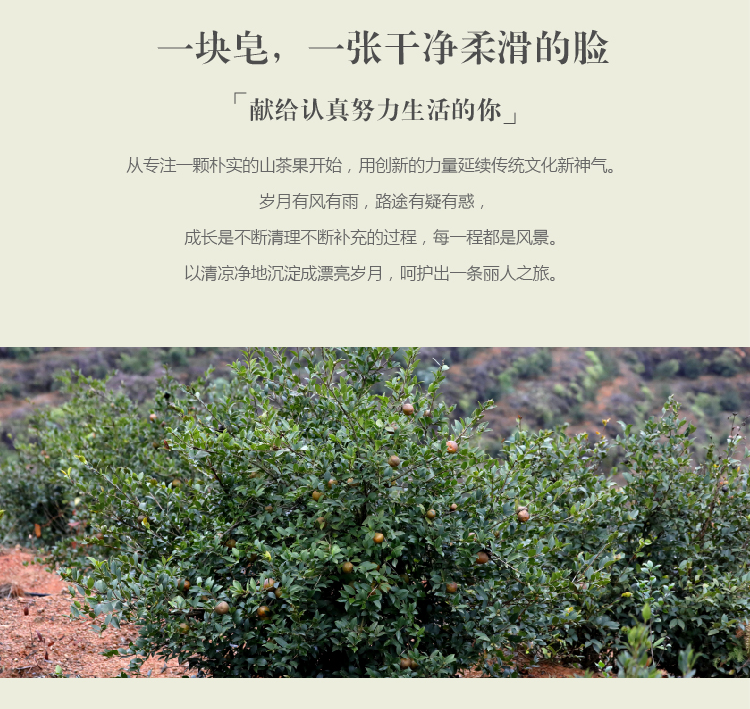 青茶萃 润养山茶籽油手工皂70G 天然纯净 无化学添加 深层清洁 双倍滋润 美容护肤国货