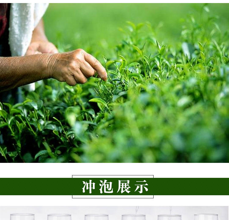 茶叶 绿茶  有机绿茶 袋装茶叶 50g/袋*2  手工茶 |湖北咸宁特产