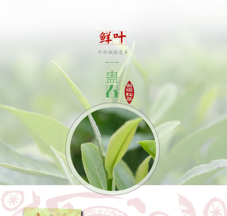 特级甜红粹茶 红茶粹末 奶茶茶叶蛋原料 100g甜红粹茶