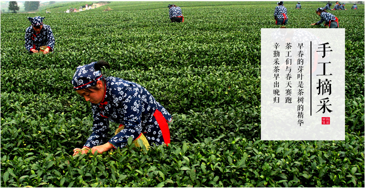 箬寮  香茶 75/克  罐装