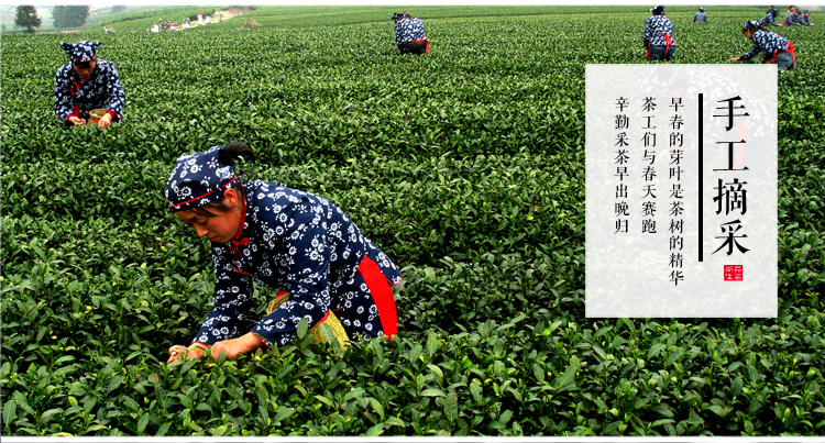 箬寮   罐装香茶&amp;罐装珍稀白茶 105g