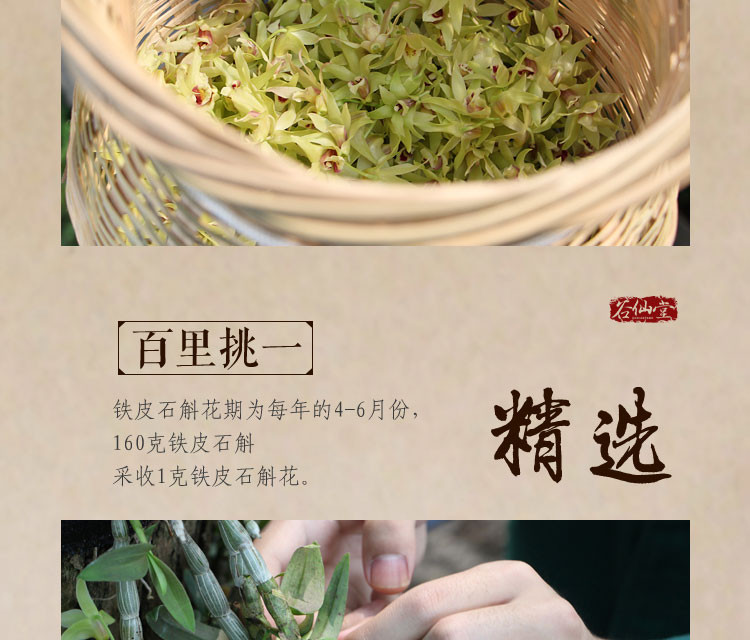 谷仙堂 花茶小包