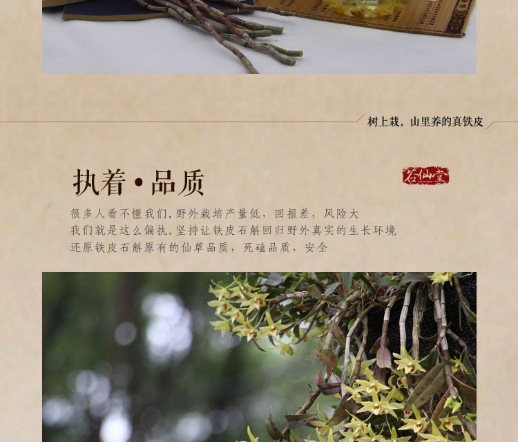 谷仙堂 花茶小包