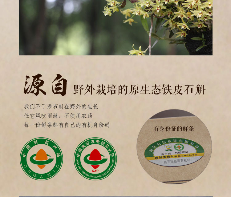 谷仙堂 花茶小包