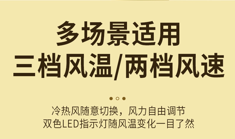 永日 家用大功率高速负离子护发吹风机