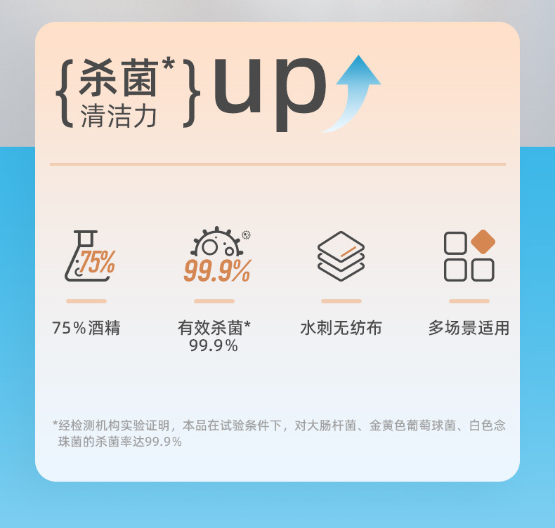 蓝漂(Lampure) 75%酒精湿巾大包便携杀菌湿纸巾