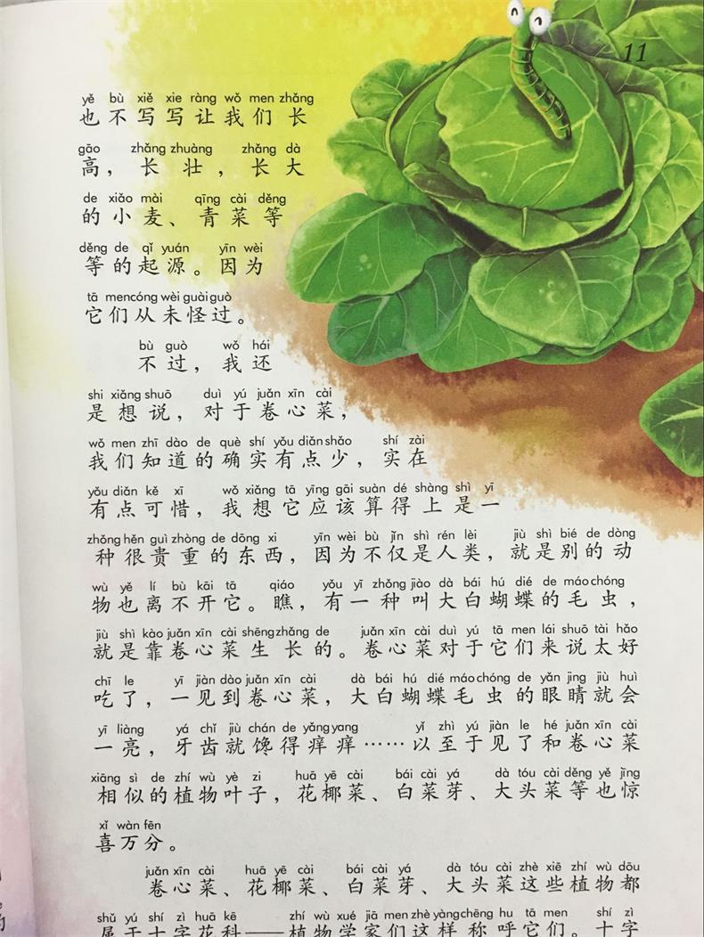 少儿必读经典图书【昆虫记 绿野仙踪 秘密花园】全3本