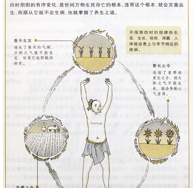 彩图版全方位图解黄帝内经/白话全译本草纲目伤寒论金匮要略温病条辨神农本草经灵枢