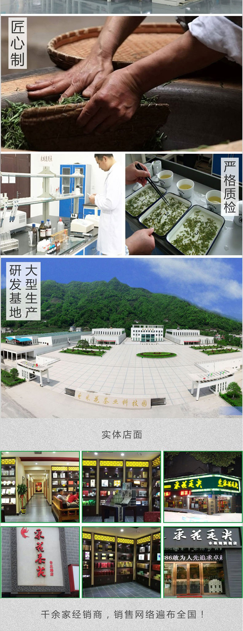 采花毛尖 问玄明睿早春茶 五峰高山芽茶 明前新茶礼盒装212g