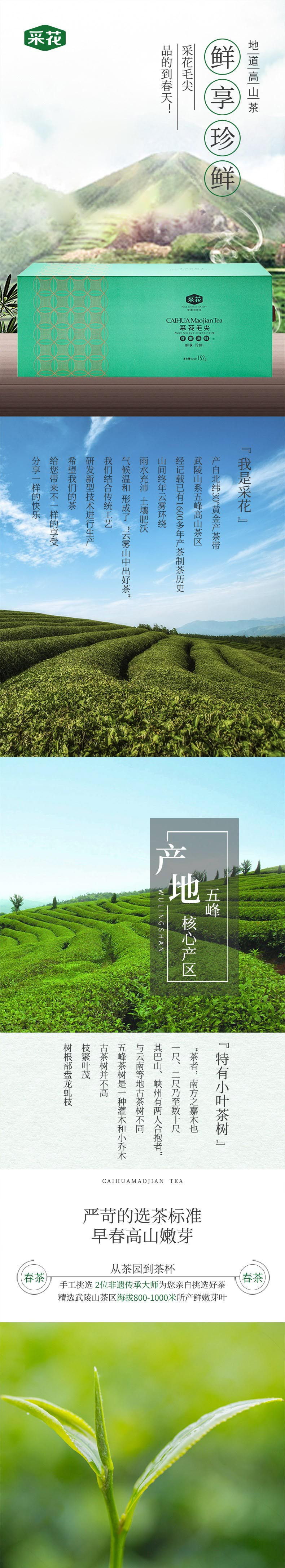 2023新茶上市 采花毛尖五峰明前芽茶 鲜享珍鲜绿茶礼盒装 152g