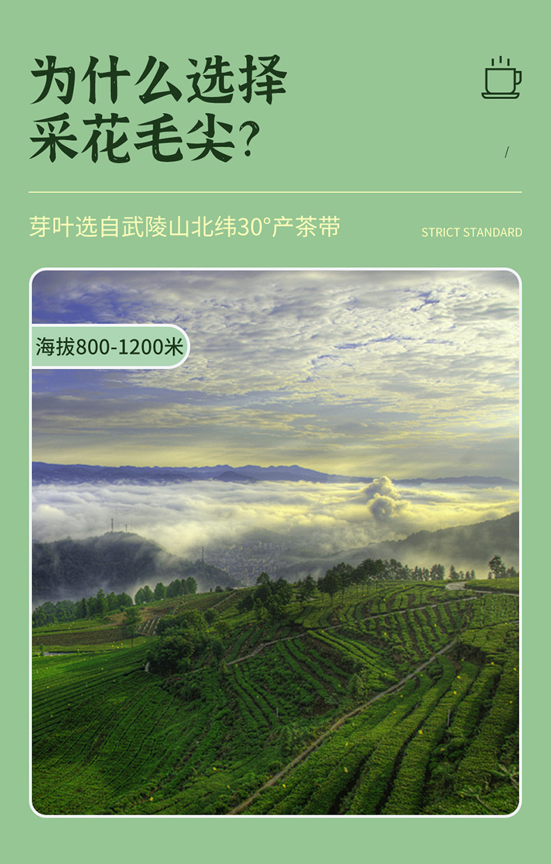 2023新茶上市 采花毛尖五峰高山明前春芽茶50g罐装