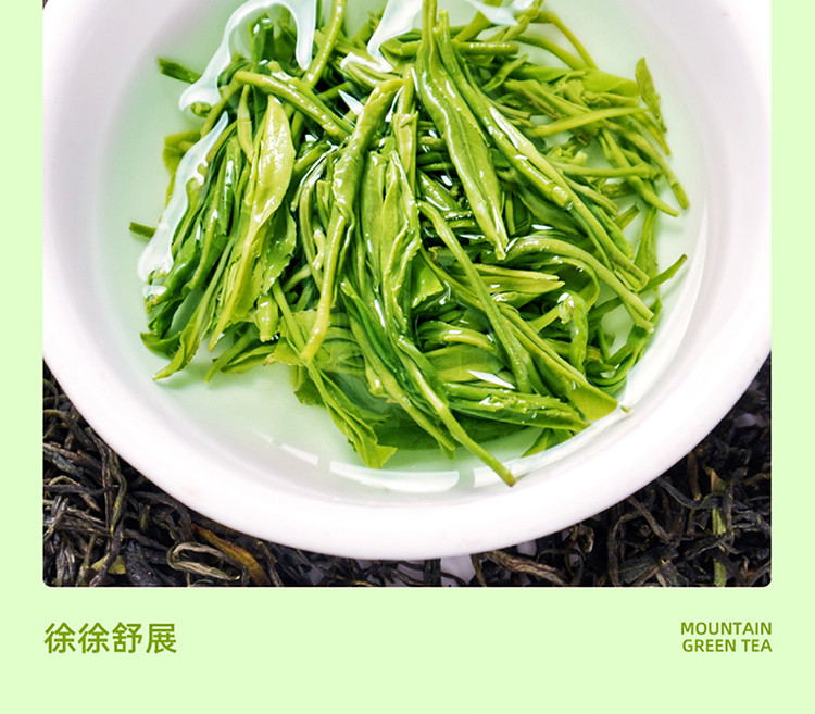 2023新茶采花毛尖百圆惠五峰毛尖一级250g【拍1发2】