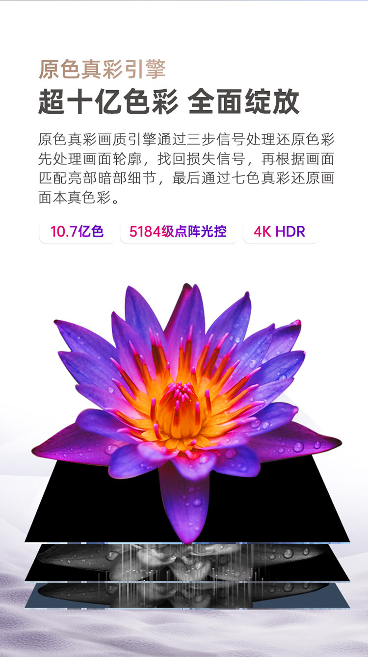【官方直营】长虹55D5 55英寸 全景屏 2+16GB  点阵光控   智慧语音 液晶电视