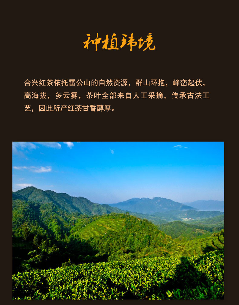 贵州黔东南雷山古树野茶礼盒装（红盒2盒套装）甘香醇厚 色泽乌润 全国包邮