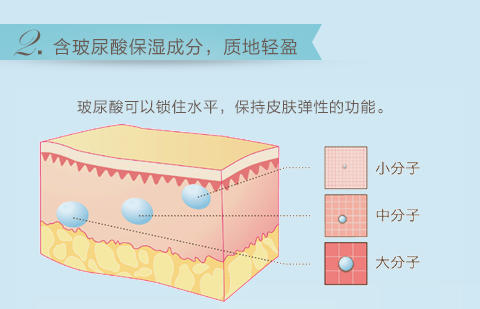 资生堂 FWB隔离霜35g  40℃温水轻松卸