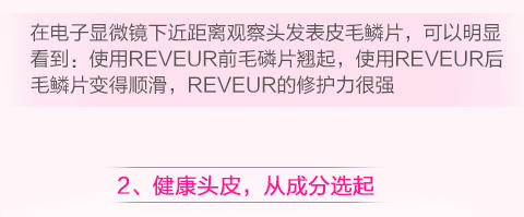 Rêveur 无硅油洗发香波 头皮护理型  500毫升 去屑必备