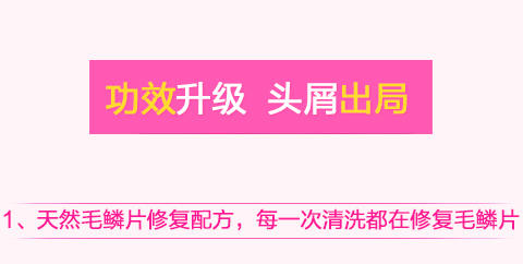 Rêveur 无硅油洗发香波 头皮护理型  500毫升 去屑必备