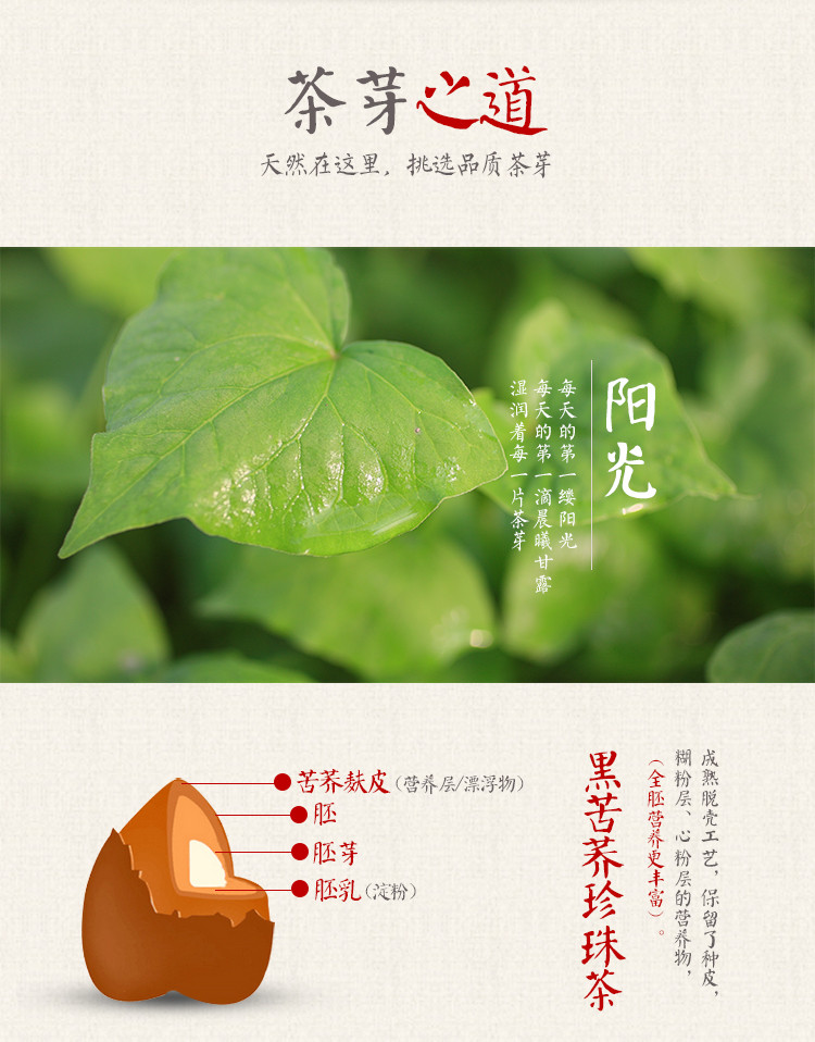 汇荞 黑苦荞珍珠茶  大凉山地标产品, 包邮