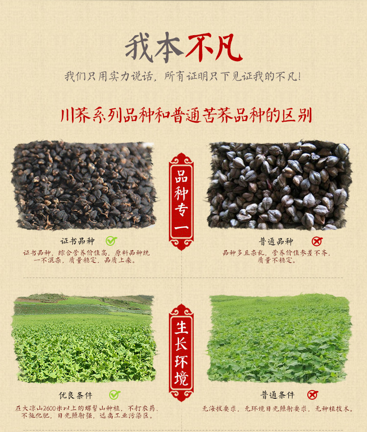 汇荞 黑苦荞珍珠茶  大凉山地标产品, 包邮