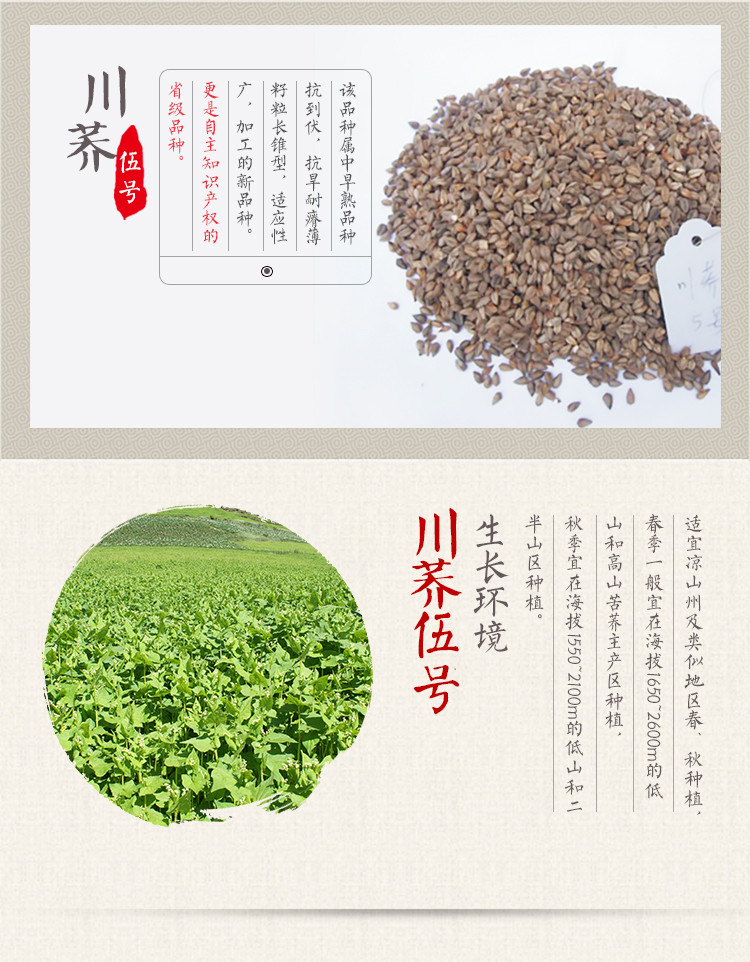 汇荞 黑苦荞珍珠茶  大凉山地标产品, 包邮