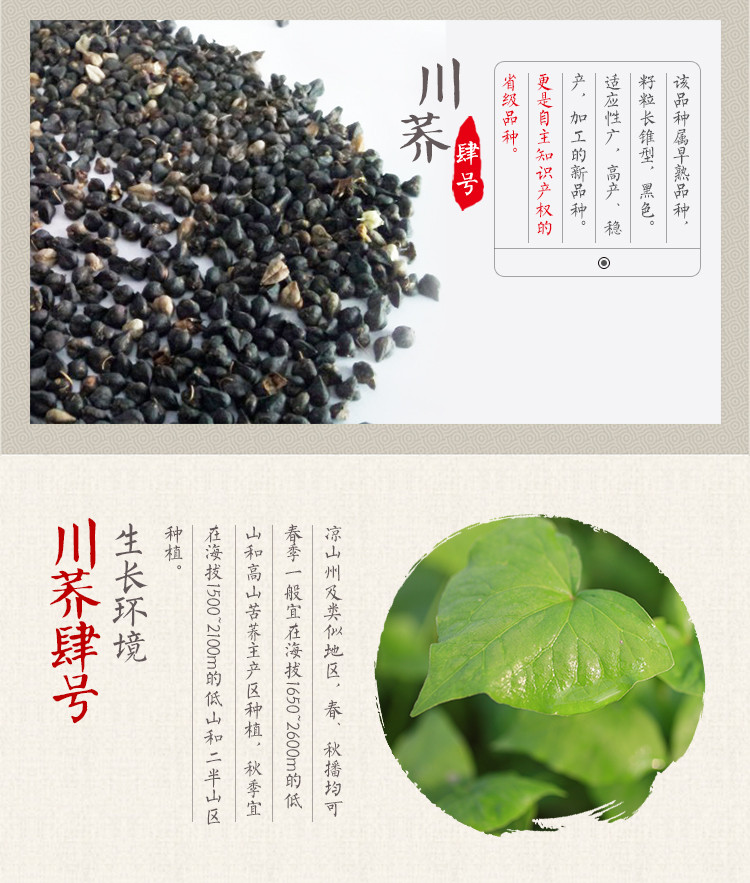 汇荞黑苦荞全胚芽茶270g，养生佳品